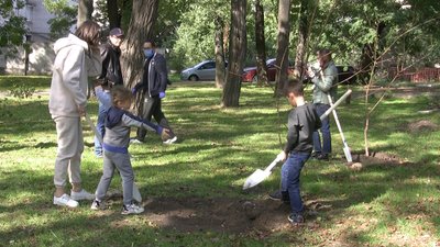 Жителі Запоріжжя долучилися до всеукраїнської акції "Мільйон дерев за добу"