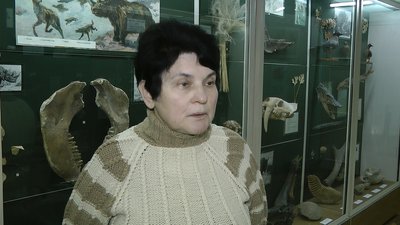 краєзнавчий краєзнавчий