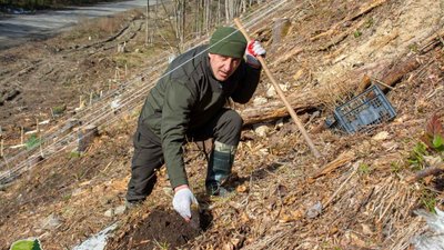 Прикарпатці висадили 700 дерев в урочищі Погорілий
