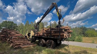 Екологія, екоінспектори, деревина без обліку, лісопродукція