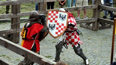 У Луцькому замку відбувся чемпіонат України зі середньовічного бою