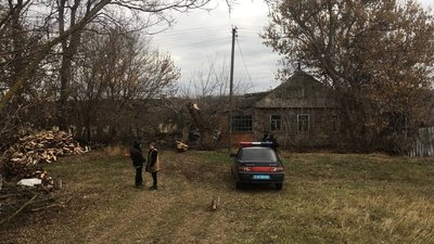 Негода на Харківщині: жінка загинула внаслідок падіння дерева Негода на Харківщині: жінка загинула внаслідок падіння дерева