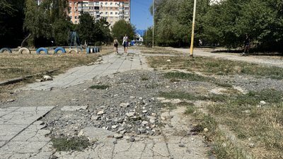 Ремонт алеї Андрія Палая в Ужгороді: чи вирубають 100 дерев?