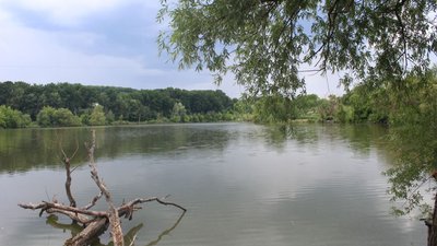 Боєприпаси в ставу: рятувальники дістали артснаряди з водойми біля Тростянця на Сумщині Боєприпаси в ставу: рятувальники дістали артснаряди з водойми біля Тростянця на Сумщині