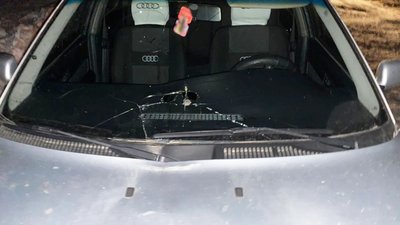 Водія затримали: поліція розслідує обставини смертельної ДТП у Лосинівці, що на Чернігівщині Водія затримали: поліція розслідує обставини смертельної ДТП у Лосинівці, що на Чернігівщині