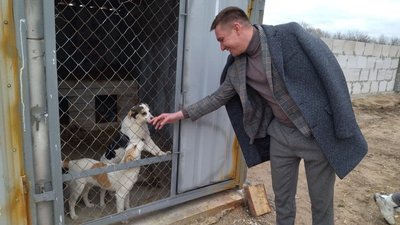 На Миколаївщині облаштовують комунальний пункт тимчасового утримання безпритульних собак На Миколаївщині облаштовують комунальний пункт тимчасового утримання безпритульних собак