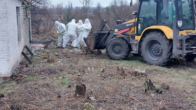 В Донецькій області вилучають тварин хворих на АЧС 
