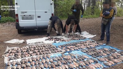 ДБР затримало природоохоронця за вилов риби у заповіднику