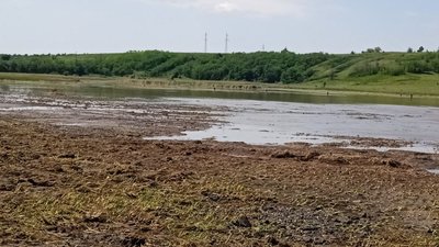 На Харківщині буревій зруйнував дамбу: затоплені поля На Харківщині буревій зруйнував дамбу: затоплені поля