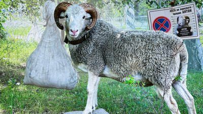 Баран Антон — краматорська зірка соцмереж