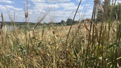 Краматорськ літак, Донецька область,