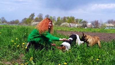 Чорні, білі, сірі, руді, коричневі, плямисті. Переселенка вивезла на Вінниччину 20 котів та 30 собак Чорні, білі, сірі, руді, коричневі, плямисті. Переселенка вивезла на Вінниччину 20 котів та 30 собак