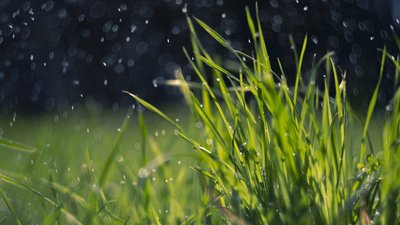 В Кіровоградській області на вихідні очікують дощі