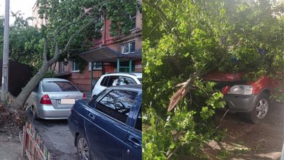 Повалені дерева та будинки без світла. Наслідки вітру 21 травня на Кіровоградщині Повалені дерева та будинки без світла. Наслідки вітру 21 травня на Кіровоградщині