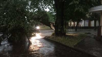 Негода дісталась Рівного, дерева валяться на авто. Очевидці публікують наслідки Негода дісталась Рівного, дерева валяться на авто. Очевидці публікують наслідки