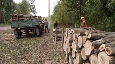Попит на дрова на Хмельниччині: де купувати, аби не стати жертвою шахраїв Попит на дрова на Хмельниччині: де купувати, аби не стати жертвою шахраїв