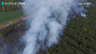 пожежа 30га лісу пожежа 30га лісу