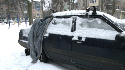 Водії, чиї автівки пошкодив клен у Харкові, збираються судитися з комунальниками Водії, чиї автівки пошкодив клен у Харкові, збираються судитися з комунальниками