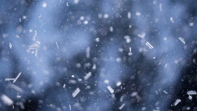 На насінні, свічках і варениках. 9 способів ворожіння на Андрія На насінні, свічках і варениках. 9 способів ворожіння на Андрія