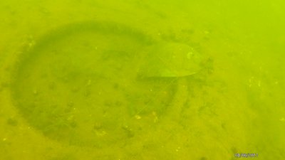 Всесвітній день землі: що робити щоб Херсонська область була чистою Всесвітній день землі: що робити щоб Херсонська область була чистою