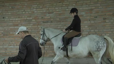 На Волині батьки дітей з інвалідністю самотужки облаштовують Центр з іпотерапії На Волині батьки дітей з інвалідністю самотужки облаштовують Центр з іпотерапії
