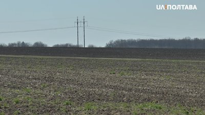 На Полтавщині посівна кампанія стартувала на 2 тижні раніше, ніж минулого року