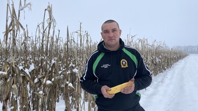 Фермер Вадим Слизько про урожай кукурудзи: яка ситуація на Полтавщині Фермер Вадим Слизько про урожай кукурудзи: яка ситуація на Полтавщині