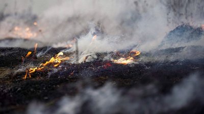 Наслідки російської атаки Києва 29 січня 2025 року