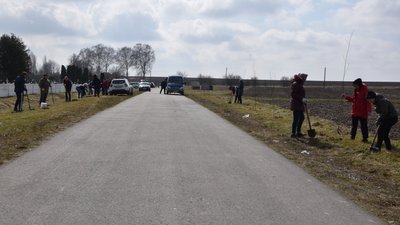 Озеленення планети: на Рівненщині за день висадили близько 300 тисяч дерев Озеленення планети: на Рівненщині за день висадили близько 300 тисяч дерев