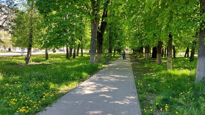 середина середина