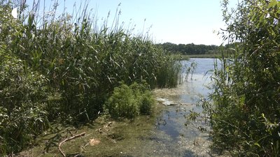 Загибель дитини на Харківщині: мати хочуть позбавити батьківських прав