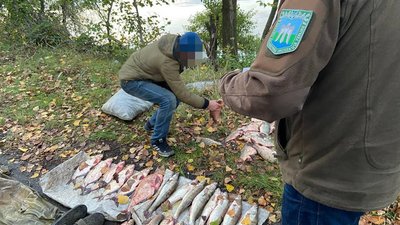 браконьєр браконьєр