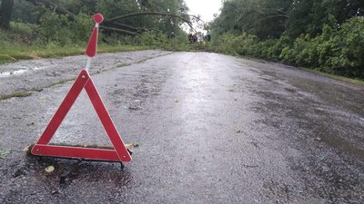 Пожежа від удару блискавки та повалені дерева: наслідки грози на Вінниччині
