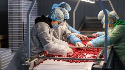 Як живуть громади Харківщини, які прихистили найбільше переселенців Як живуть громади Харківщини, які прихистили найбільше переселенців