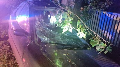 На Житомирщині у ДТП загинув водій автомобіля На Житомирщині у ДТП загинув водій автомобіля