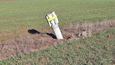 На Миколаївщині 80 відсотків земель готові до посіву: які проблеми постали перед аграріями