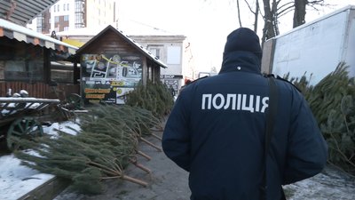 Ялинковий рейд: які дерева продають біля ринку у Рівному та як це контролюють Ялинковий рейд: які дерева продають біля ринку у Рівному та як це контролюють