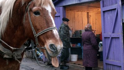 День святого Миколая на Чернігівщині: як живуть люди у селі зі співзвучною назвою Миколаївка День святого Миколая на Чернігівщині: як живуть люди у селі зі співзвучною назвою Миколаївка