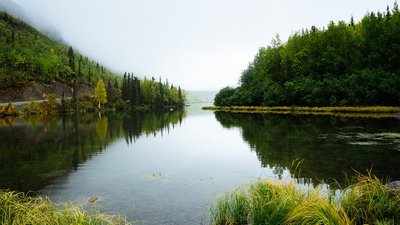 В Україні зафіксували найнижчий за 100 років рівень води в річках. Які наслідки