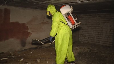 У Миколаєві організували позапланову дезінсекцію