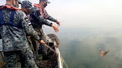 На Херсонщині червонокнижних морських мешканців врятували прикордонники від браконьєрів