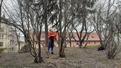 У Львові обрали міських садівників. Що вони робитимуть У Львові обрали міських садівників. Що вони робитимуть