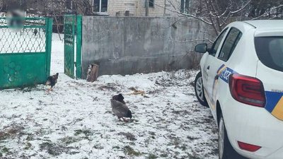 вручили підозру чоловікові, який поранив ножем родича