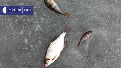 Зимова риболовля... Зимова риболовля...