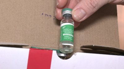 На Запоріжжі за три дні 38 людей отримали щеплення вакциною CoronaVac. Кого вакцинують