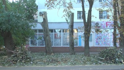 У Бородинському мікрорайоні Запоріжжя спиляли дерева - мешканці обурені