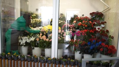 мікрогранти, квіти, магазин мікрогранти, квіти, магазин