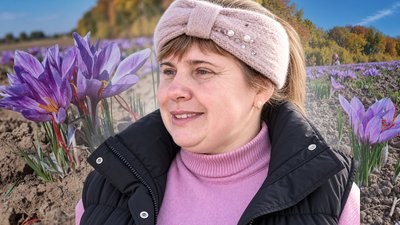 шафран, спеція, Борочиче, Волинь, сезон шафрану, найдорожча у світі спеція