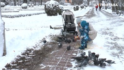 Вікторія Хомин гуляє із сином Вікторія Хомин гуляє із сином