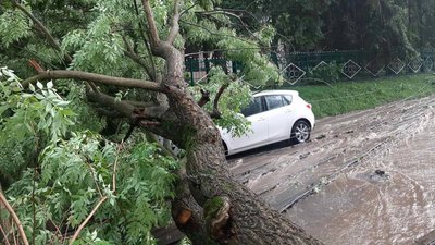 Повалені дерева та підтоплені вулиці: наслідки негоди у Вінниці Повалені дерева та підтоплені вулиці: наслідки негоди у Вінниці